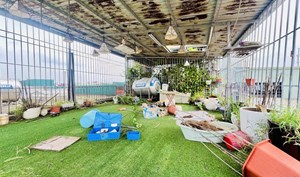 Bán nhà phố Đại Đồng, 35m x 5 tầng, Mt 6.3m