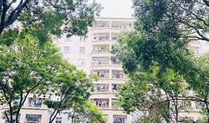 Bán căn chung cư Trần Thủ Độ, 83m, 03 PN