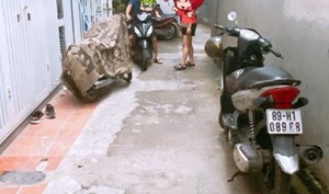 Bán nhà phố Đông Thiên, Lĩnh Nam, 20m x 4 tầng kiên cố