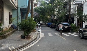 Bán căn Phân lô liền kề khu Đầm Trấu, 53m x 5 tầng, giá chào 24.8 tỷ